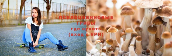 дурь Баксан