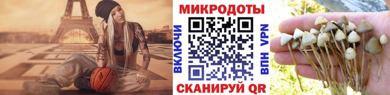 Псилоцибиновые грибы Psilocybe  наркошоп  Саки 