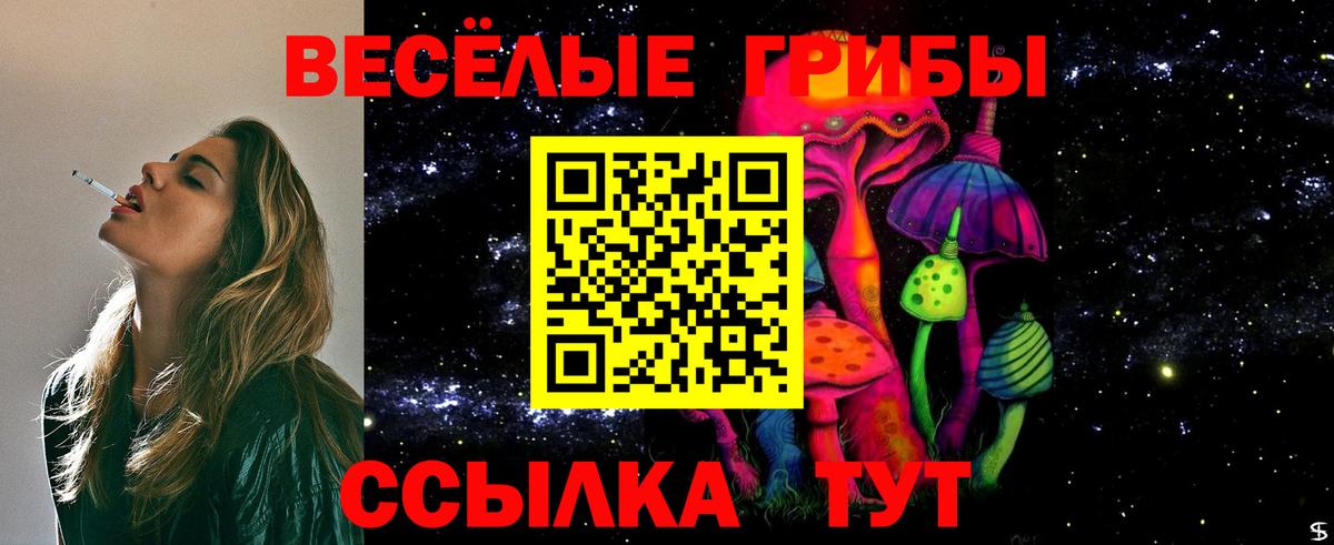 Псилоцибиновые грибы Cubensis Саки